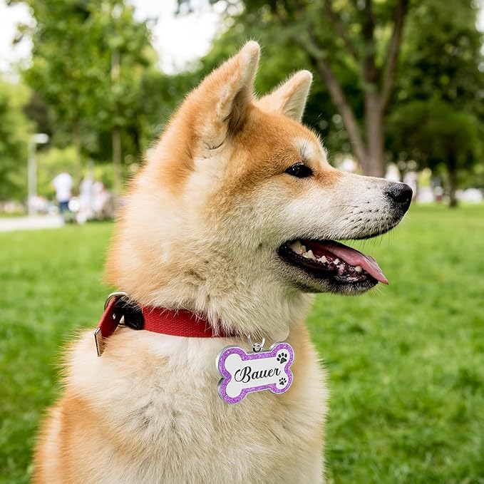 Dog Tags Personalized for Pets Dog Name Tags Personalized Dog Tag Engraved with Any Name & Text Custom Dog ID Tags Glitter Bone ID Tag for Puppy Cat (Silver S, Bone)