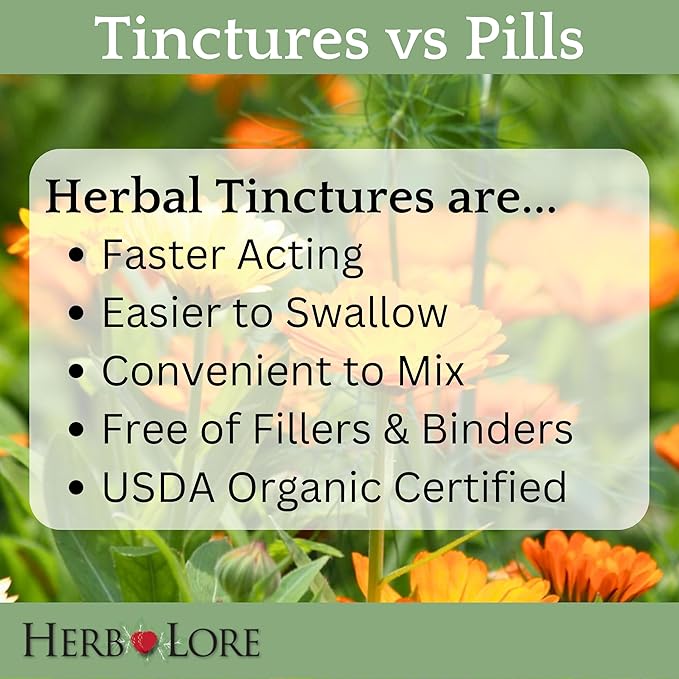 Herb Lore Organic Shatavari Root Extract Tincture - Liquid Shatavari Drops (Asparagus Racemosus) for Lactation and Wellness Support - Alcohol Free (2 fl oz)