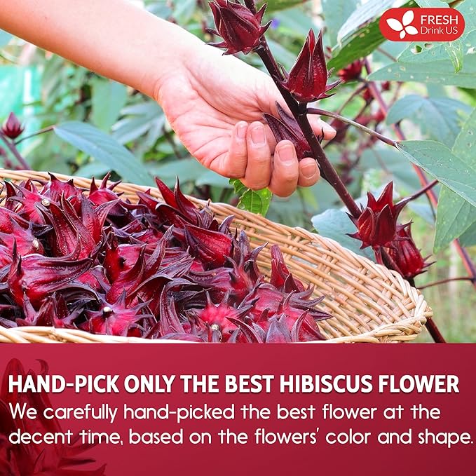 FreshDrinkUS, Premium 40oz Hibiscus Flower Powder, 100% Natural and Pure from Hibiscus Flowers, Natural Food Coloring, Hibiscus Flowers Tea, No Additives, No Gluten, No Sugar, Vegan
