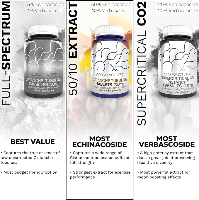 Nootropics Depot Cistanche tubulosa Tablets | 200mg | 60 Count | Minimum 50% Echinacoside + 10% Acetoside (Verbascoside) | Promotes Physical Strength and Energy | Promotes Vitality