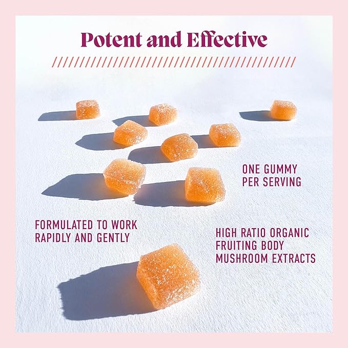 Concentrate Gummies - Focus, Memory, Brain Health & Mood Support Supplement - Vegan, Non-GMO, Gluten-Free - Lemon Flavor (5 Servings)