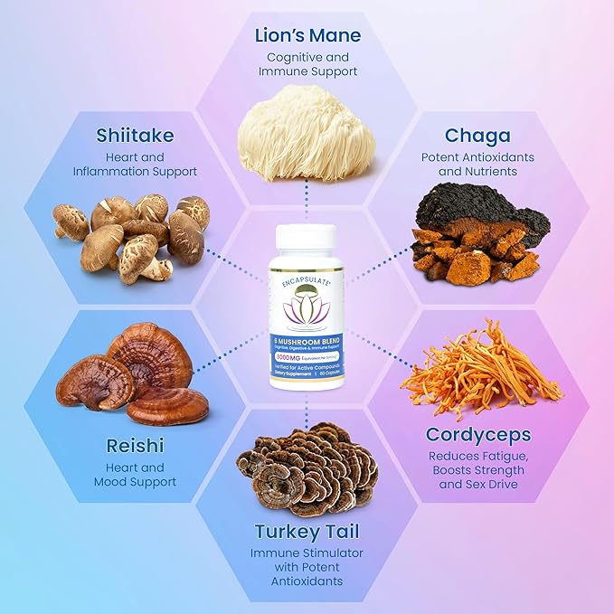 ENCAPSULATE 6 Mushroom Blend – Reishi, Chaga, Turkey Tail, Cordyceps, Lion’s Mane & Shiitake 8:1 Mushroom Extract – Nootropic & Adaptogen Mushroom Supplement for Gut, Brain & Immune Support - 60 Caps