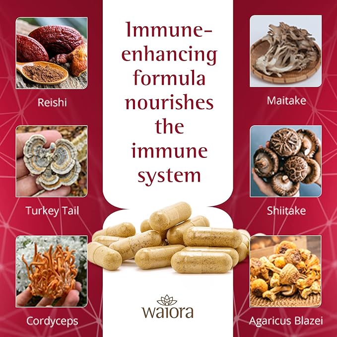 Waiora MegaDefense Mushroom Capsules (6 Bottles), Supplement for Daily Wellness, 6 Mushroom Supplement: Reishi, Turkey Tail, Cordyceps, Maitake, Agaricus & Shiitake, Non-GMO (60 Veggie Caps)