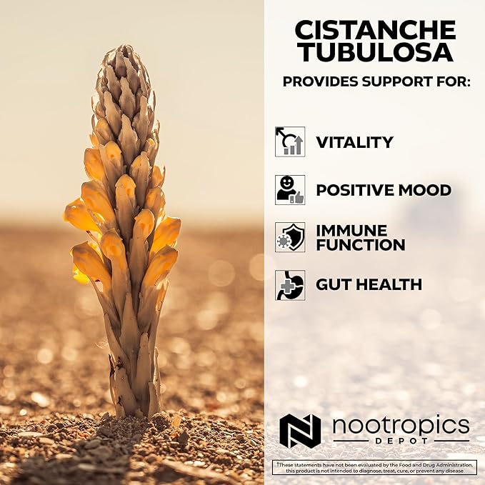 Nootropics Depot Cistanche tubulosa Tablets | 200mg | 180 Count | Minimum 50% Echinacoside + 10% Acetoside (Verbascoside) | Promotes Physical Strength and Energy | Promotes Vitality