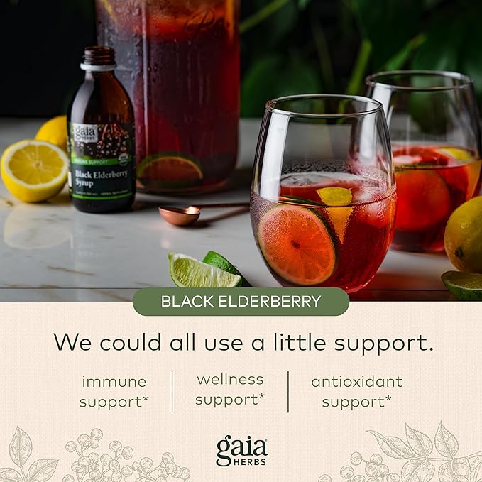 Gaia Herbs Black Elderberry Syrup, 5.4 Ounce
