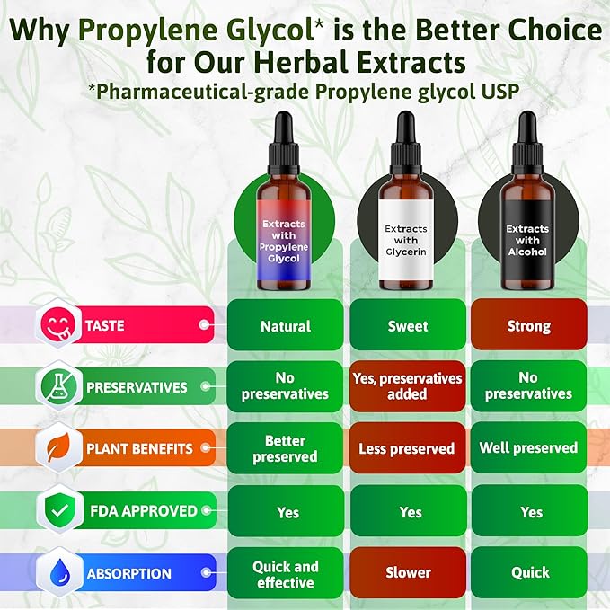 4 oz Liquid Echinacea Extract - Echinacea Root Drops Tincture 2440mg (Echinacea purpurea) Herbal Supplement Absorbs Better Than Capsules, 2 Month Supply, 84 Servings, Alcohol-Free - 2 Oz, Pack of 2