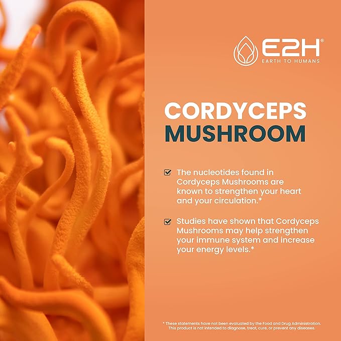 E2H: Liver Support Supplement and Cordyceps Mushroom Supplement | Vegan, Non-GMO - 2 Fl Oz Each (4 Fl Oz Total) - Bundle