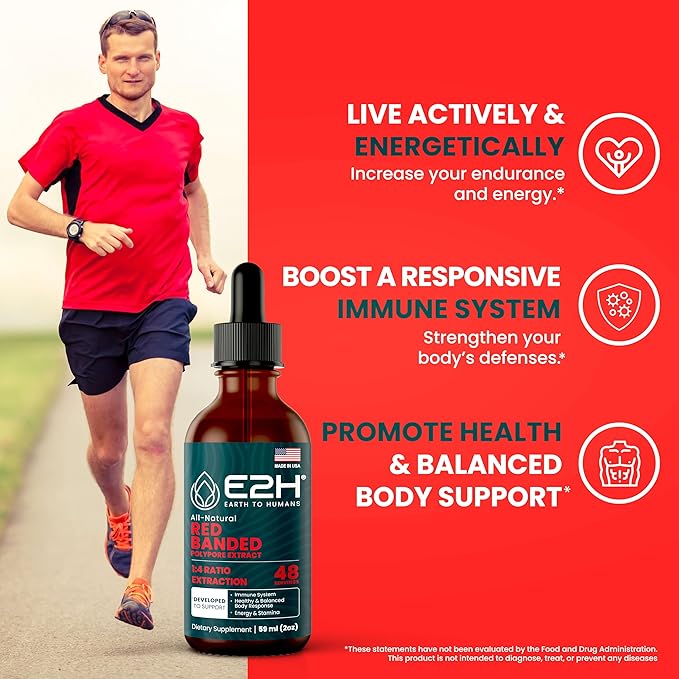 E2H Red Banded Polypore Extract - Mushroom Supplement Formula for Immune Support, Digestive Health, Energy and Natural Immunity Boost (2 Bottles)