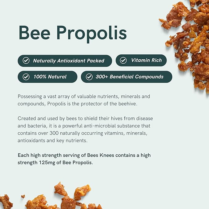 Dr Sosnowski's Bees Knees Bone Health Ultimate Support for Inflammation Relief, with Collagen, Vitamin C, Turmeric and Bee Propolis | Vegetable Capsules, 60ct