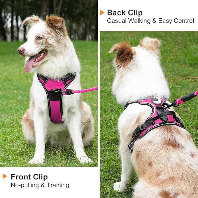 Taglory Light Up Dog Harness, Rechargeable No Pull Dog Vest with 3 Lightning Modes, Reflective Dog Harness with 2 Leash Clips & 4 Adjustable Slide Strips for Medium Dogs, Hotpink-Hotpink, M