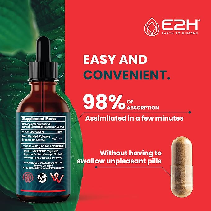 E2H Red Banded Polypore Extract - Mushroom Supplement Formula for Immune Support, Digestive Health, Energy and Natural Immunity Boost - Non-GMO, Vegan (3 Bottles)