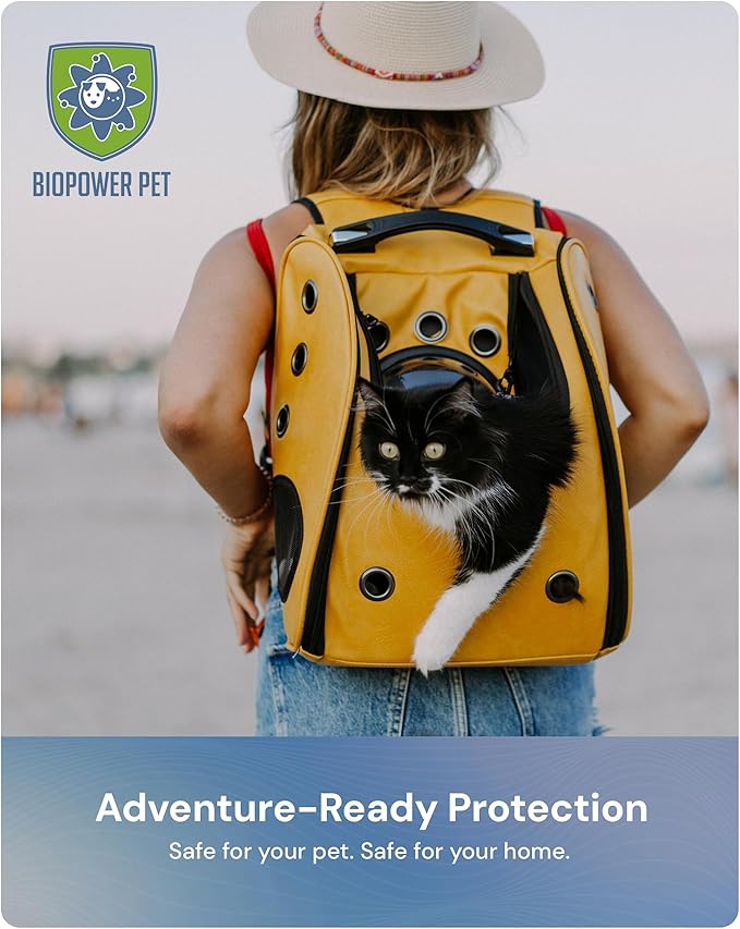 Natural Flea & Tick Repellent Collar Tag for Dogs & Cats – BioPower Pet Shield – Safe for Pets When Used as Directed – Lasts 1 Full Year (Small Tag (<10 Lbs), 2, Count)