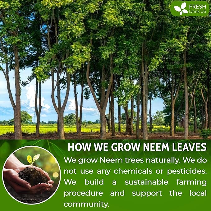 FreshDrinkUS, Premium 2oz Neem Leaf Powder, 100% Natural and Pure from Neem Leaves Dried, for Hair and Skin, No Additives, No Gluten, No Sugar, Vegan