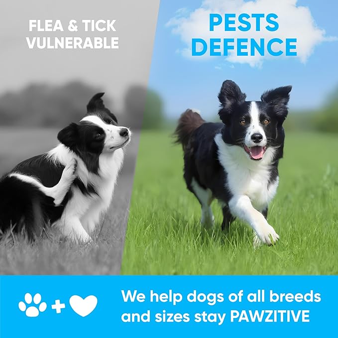 Chewable Flea and Tick Prevention for Dogs - 120 Soft Chews Made in USA - Oral Flea and Tick Control Pills for Small, Medium, Large Dogs and Puppies - Skin and Coat Supplement Treats for All Breeds