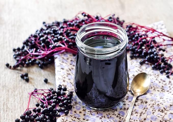 Food to Live Organic Black Elderberry Powder, 1 Pound Non-GMO, Made from Raw Dried Berries, Unsulfured, Vegan, Bulk, Great for Baking, Smoothies, Yogurts, No Sulphites, Contains Maltodextrin