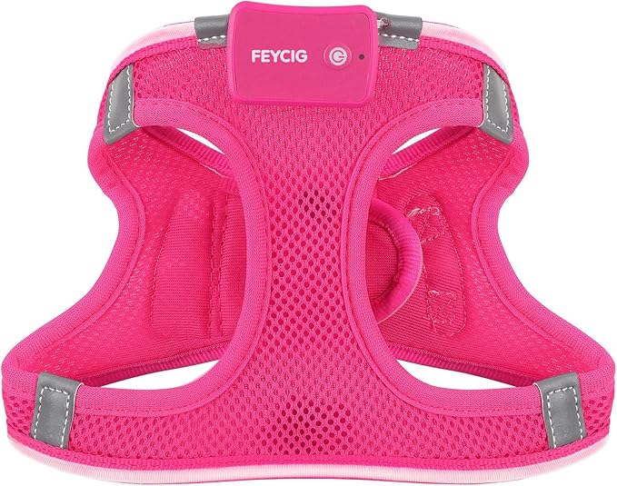 Light Up Dog Harness,Rechargeable LED Dog Harness for Small Medium Large Dogs,Reflective Lighted Safety Vest for Night Walking & Camping,Lightweight & Adjustable,Pink,XS