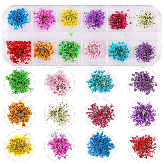 Lpone 3D Nail Dried Flowers Stickerart & Resin Craft Diy Five Petal Flower Leaf Gypsophila Real Dry Flower Nail Art Decoration K