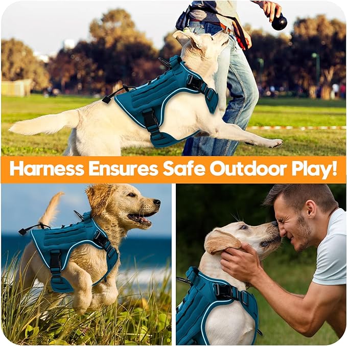 Heavy-Duty Tactical Dog Harness for Large Dogs, No Pull Adjustable Reflective Pet Vest with Molle System, K9 Military-Grade Control for Service Training, Outdoor & 10+ Breeds, Blue, XX-Large