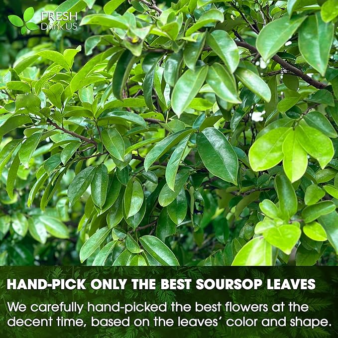 FRESHDRINKUS, Premium 10oz Soursop Leaf Powder, 100% Natural and Pure from Soursop Graviola Leaves, Soursop Leaf Tea, Hoja Guanabana, No Additives, No Gluten, No Sugar, Vegan