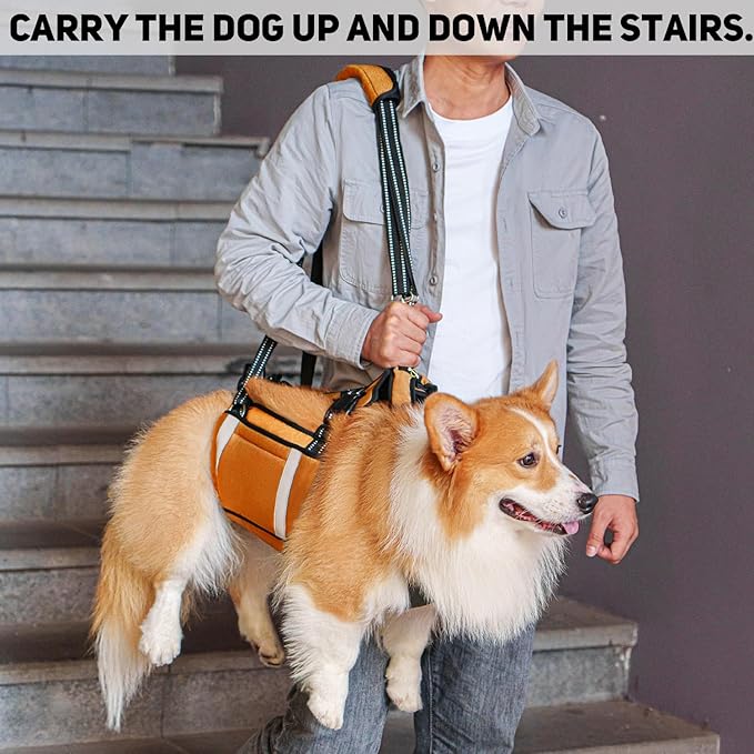 COODEO Mobility Dog Lift Harness, Emergency Carry Sling, Pet Rear Leg Support Rehabilitation Lifts Vest, Dog Carrier for Senior Dogs Joint Injuries, Arthritis (Orange, XL)