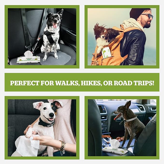 Pogi’s Dog Wipes Travel Packs – Hypoallergenic Pet Wipes for Paws, Body & Butt – Cleaning & Hydrating, Fragrance Free, 240-Count