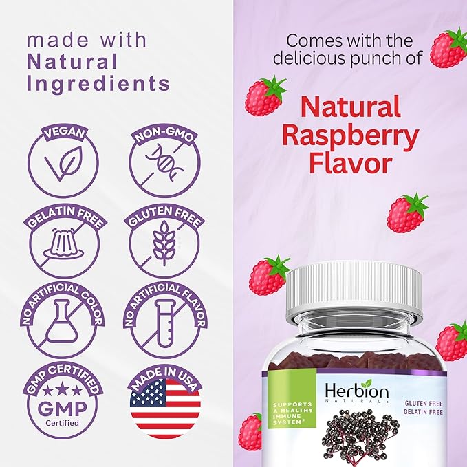 HERBION Elderberry Gummies with Vitamin C & Zinc - Healthy Immune System Support - Gluten-Free & Gelatin-Free - 60 Gummies for Adults & Children 4 Years & Above - Made in USA, 60 Count (Pack of 1)
