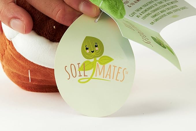 Hug Feel The Love Soil Mates – Daisy – Plush Plant Home Decor, Plush Shelf Decor, Cute Home Decor, Lil’ Seedlings Plush Toy, Thoughtful Message, 10 inches