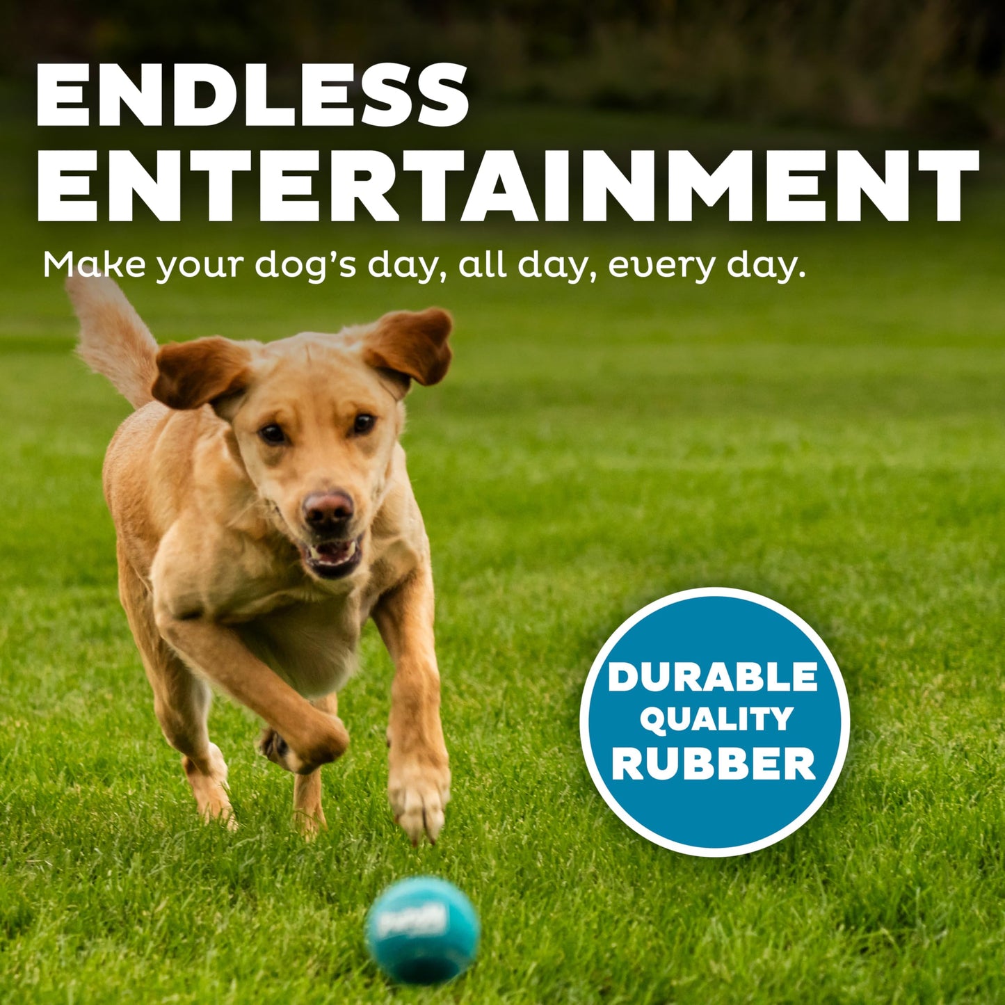 Outward Hound Squeaker Ballz Fetch Dog Toy, Medium - 4 Pack