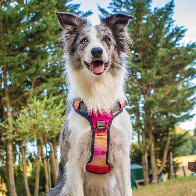 Embark Adventure Dog Harness, Reflective Trim No Pull Harness for Medium Sized Dog - Military Grade Nylon, Front Clip with Gel Lined Handle. Soft & Padded Puppy