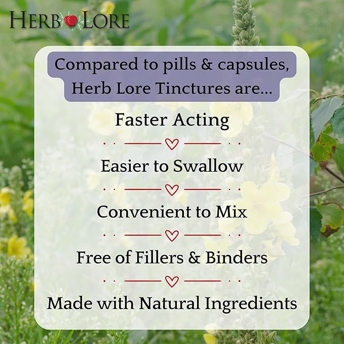Herb Lore Organic Mullein Tincture Drops - Mullein Leaf Extract for Lungs - Safe for Kids - Alcohol Free (2 fl oz)