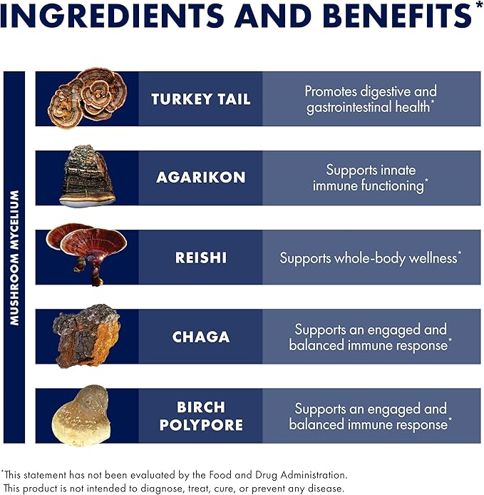 Host Defense MycoShield Throat Spray - Immune Health Support - Dietary Mushroom Supplement with Chaga, Reishi, Turkey Tail & More - On-The-Go Immune Support - Licorice Root, 1 fl oz (71 Servings)*