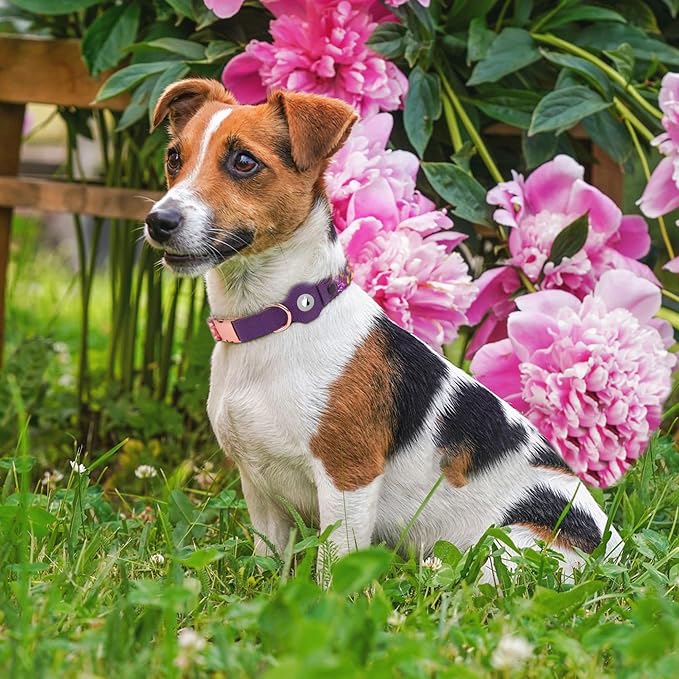 AirTag Dog Collar for Small Medium Large Breed - Adjustable Cute Pattern Dog Collar with Airtag Holder - Soft Leather Tracker GPS Apple Air Tag Pet Collars (X-Small, 9"-12" Neck Fit, Peonies)