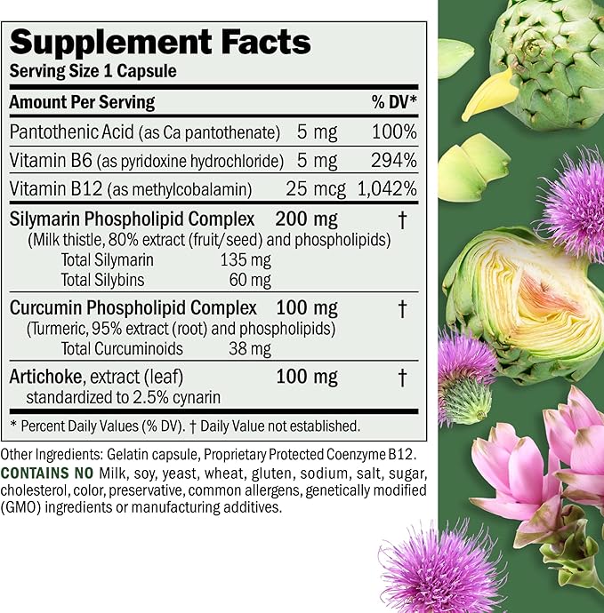 ANDREW LESSMAN Liver Anti-Oxidant Extracts 60 Capsules - Supports The Hard-Working Tissues of The Liver, Promotes Optimum Liver Health and Function. Milk Thistle, Turmeric and Artichoke Extracts