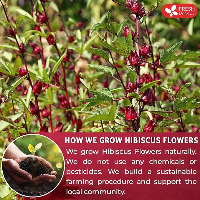 FreshDrinkUS, Premium 40oz Hibiscus Flower Powder, 100% Natural and Pure from Hibiscus Flowers, Natural Food Coloring, Hibiscus Flowers Tea, No Additives, No Gluten, No Sugar, Vegan
