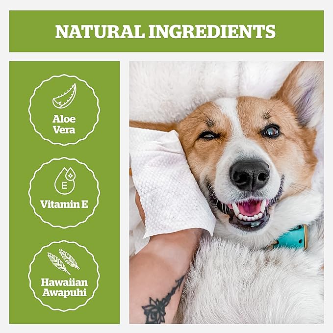 Pogi’s Dog Wipes Travel Packs – Hypoallergenic Pet Wipes for Paws, Body & Butt – Cleaning & Hydrating, Green Tea Scent, 240-Count