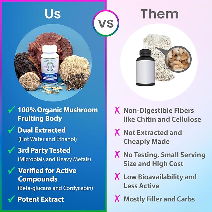 ENCAPSULATE 6 Mushroom Blend – Reishi, Chaga, Turkey Tail, Cordyceps, Lion’s Mane & Shiitake 8:1 Mushroom Extract – Nootropic & Adaptogen Mushroom Supplement for Gut, Brain & Immune Support - 60 Caps
