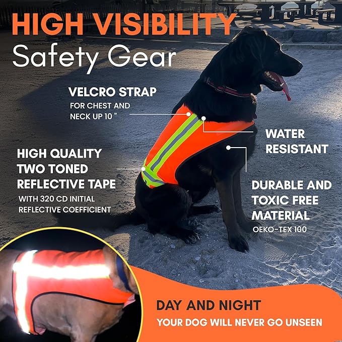 Reflective Dog Vest – Fluorescent Orange | High-Visibility, Water-Resistant Safety Jacket with Adjustable Fit for Day & Night Walks, Hiking, Hunting, and Outdoor Use (Large)