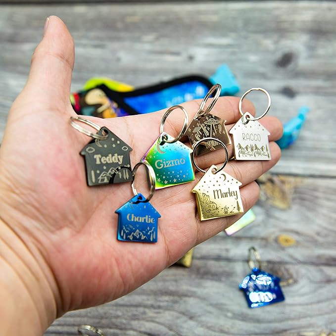 Personalized Dog Tag with 5 Lines of Custom Deep Engraved Durable Stainless Steel Pet ID Name Tag Designer Small Size House