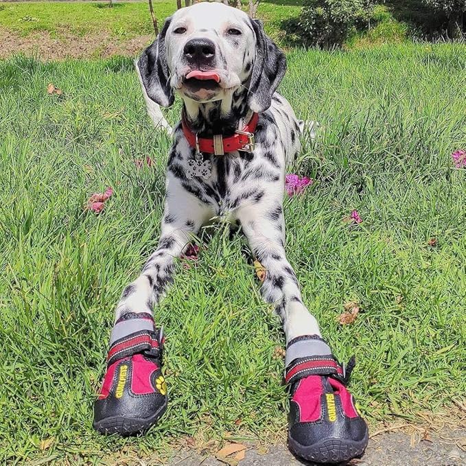 QUMY Dog Shoes for Large Dogs, Medium Dog Boots & Paw Protectors for Winter Snowy Day, Summer Hot Pavement, Waterproof in Rainy Weather, Outdoor Walking, Indoor Hardfloors Anti Slip Sole Red Size 4