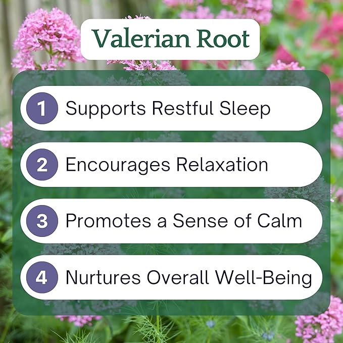 Herb Lore Valerian Root Tincture - Organic Liquid Extract Drops - Natural Herbal Sleep Aid for Kids & Adults - Alcohol Free (4 fl oz)