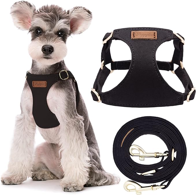 Puppytie No Pull Small Dog Harness with Multifunction Dog Leash,Lightweight Soft Adjustable No Choke Escape Proof Pet Harness Vest Pet Harness Vest,Black,S