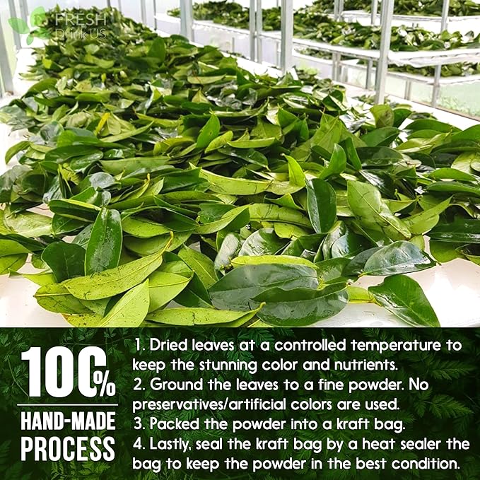 FRESHDRINKUS, Premium 10oz Soursop Leaf Powder, 100% Natural and Pure from Soursop Graviola Leaves, Soursop Leaf Tea, Hoja Guanabana, No Additives, No Gluten, No Sugar, Vegan