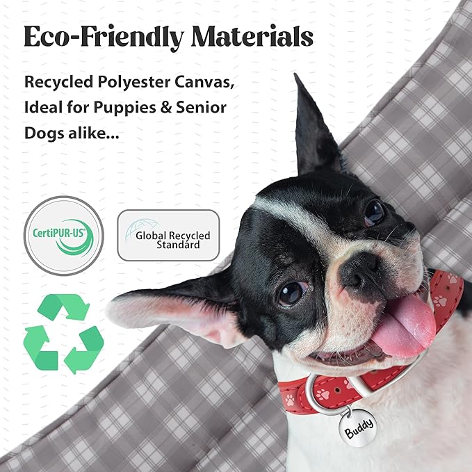 Orthopedic Bolster Dog Bed – CertiPUR-US Foam, Recycled Polyester Canvas, Washable Cover, Anti-Slip Bottom, Medium, Light Blue Check – Stylish Designer Dog Sofa