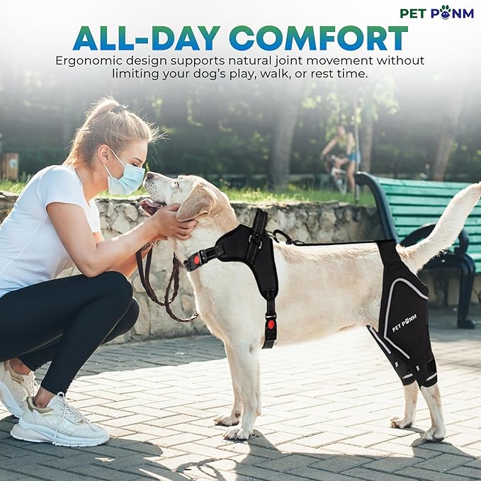 Comfortable Dog Knee Brace for Both Hind Legs with Harness - for ACL Tear, Luxating Patellae, Osteoarthritis & Instability - for Recovery & Injury Prevention in Active/Aging Dogs - (XSmall)