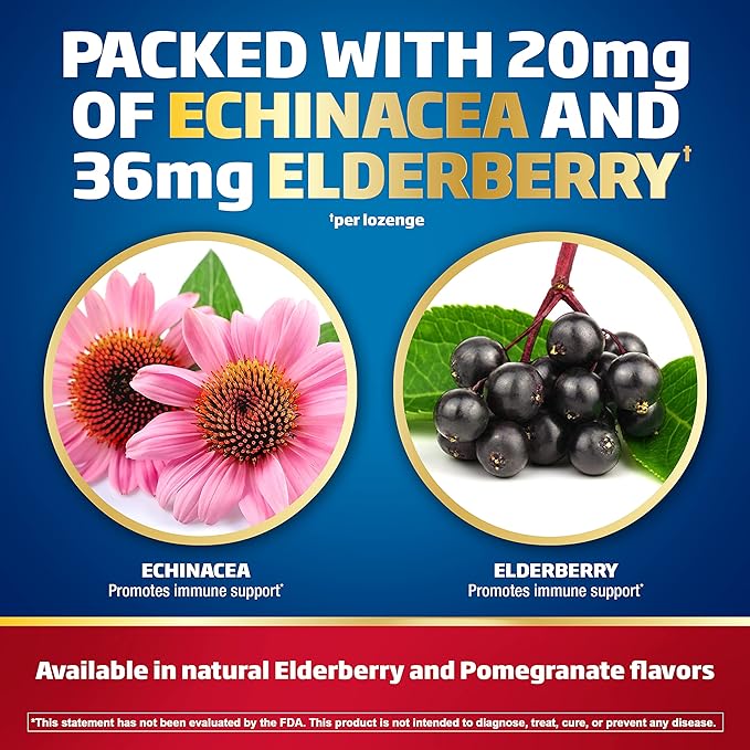Defend-EEZE Immune Support Dietary Supplement Lozenges, 100% Daily Value of Zinc, Vitamins C & D per Dose, with Echinacea & Elderberry, Pomegranate Flavor, 30 Lozenges