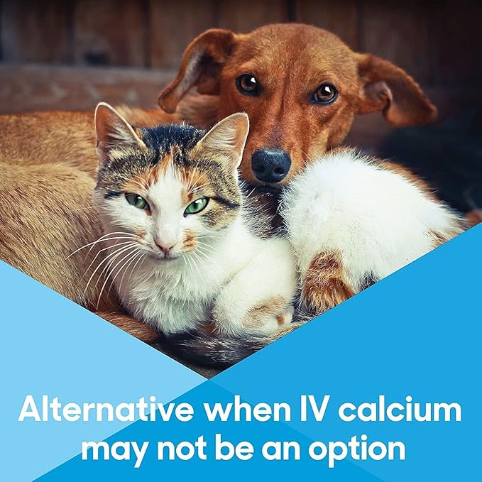 Calcium Now - Oral Calcium for Whelping Dogs - (15 ml Paste, Vanilla) (Pack of 2) - Calcium Supplement for Dog - Breeders Friendly Calcium for Dogs - Lots of Love Pet Products