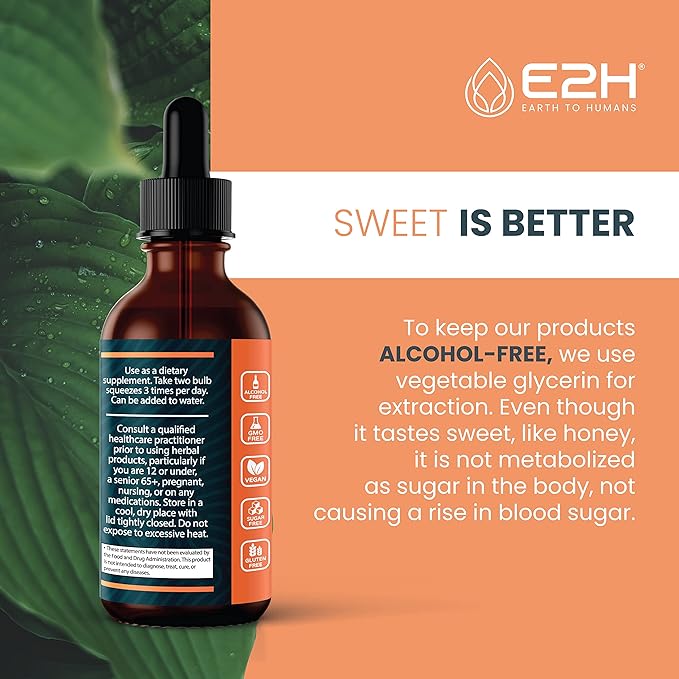 E2H: Liver Support Supplement and Cordyceps Mushroom Supplement | Vegan, Non-GMO - 2 Fl Oz Each (4 Fl Oz Total) - Bundle