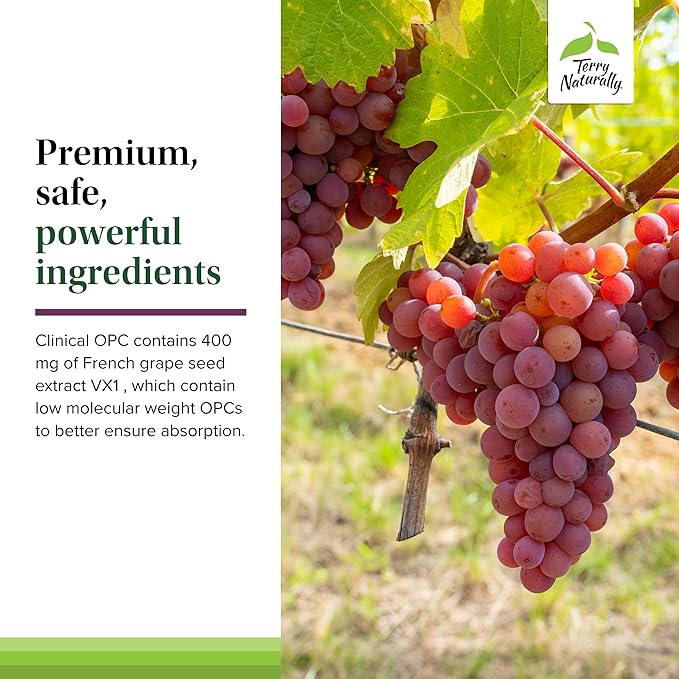 Terry Naturally Clinical OPC Extra Strength - Cardiovascular Health & Focus Support - Supplement with Grape Seed Extract - Immune Support Supplement - 60 Softgels (Pack of 3)
