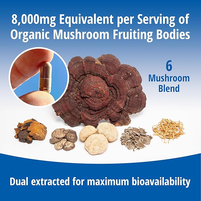 ENCAPSULATE 6 Mushroom Blend – Reishi, Chaga, Turkey Tail, Cordyceps, Lion’s Mane & Shiitake 8:1 Mushroom Extract – Nootropic & Adaptogen Mushroom Supplement for Gut, Brain & Immune Support - 120 Caps
