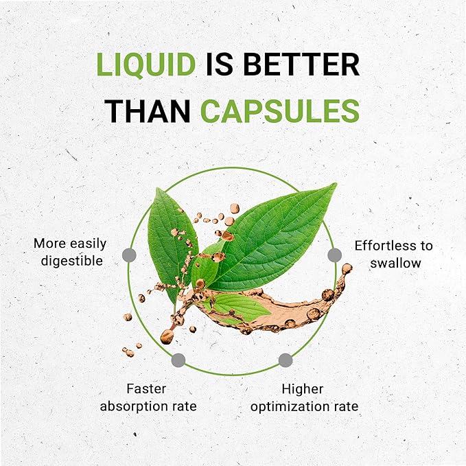 Secrets of the Tribe Noni Alcohol-Free Liquid Extract, Noni (Morinda citrifolia) Dried Fruit (4 FL OZ)